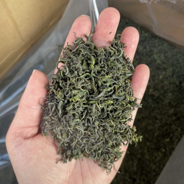 云雾茶