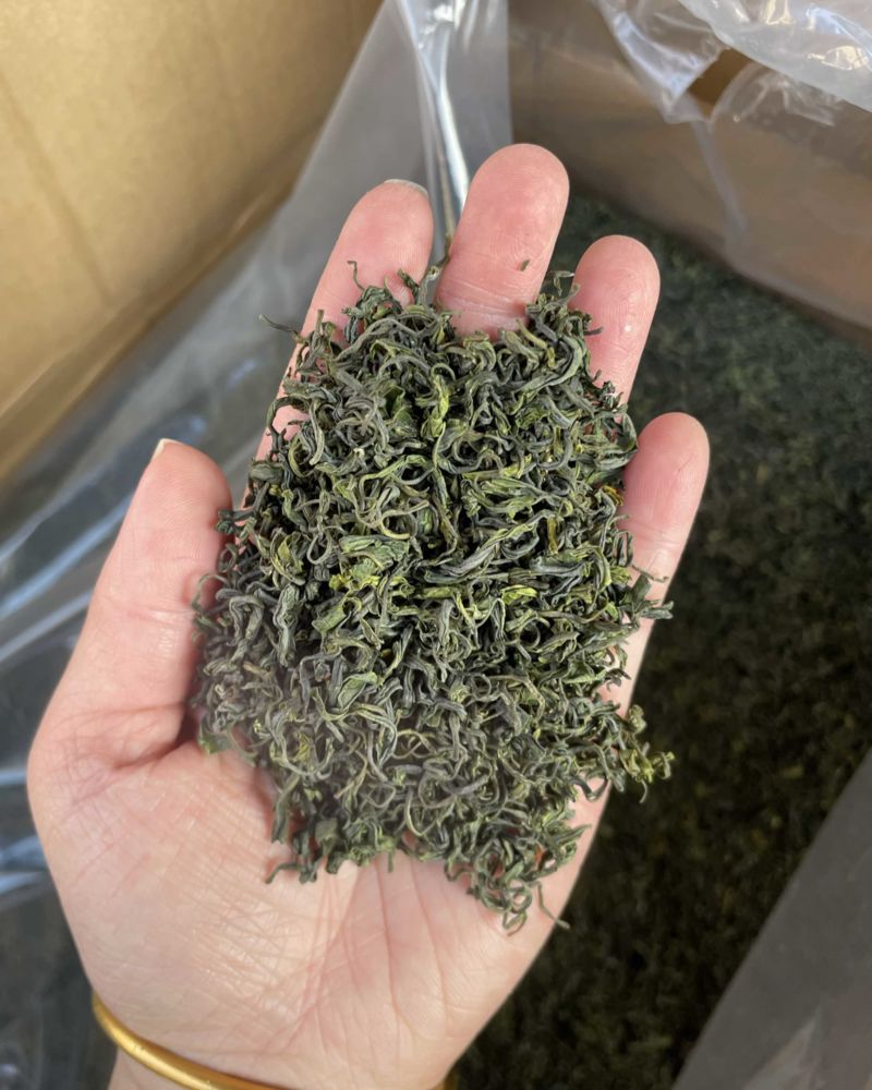 云雾茶