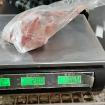 二级6/9量鸽子属于次一级，单只套袋2000只价格9