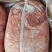 龙大四号肉卷