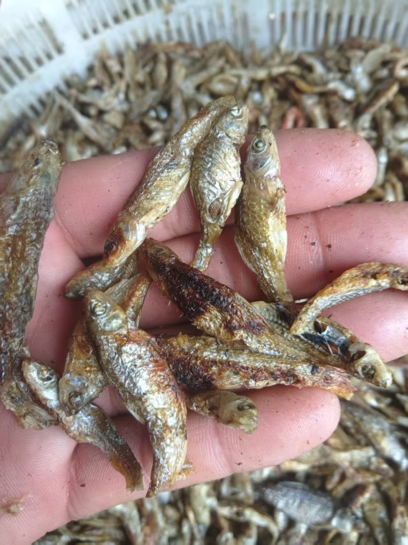 火培麦穗鱼干无油无盐