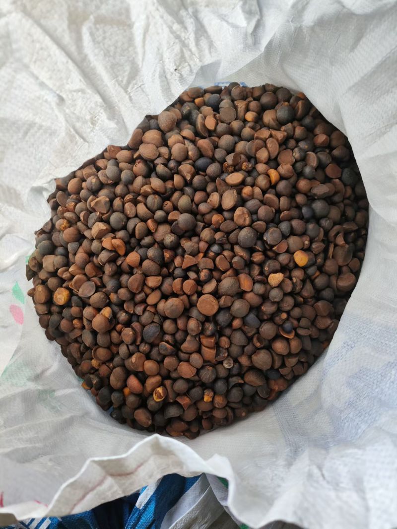 山茶油。