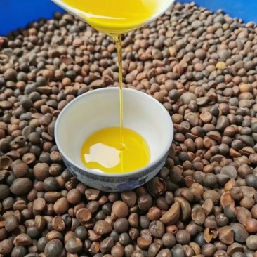 ***山茶油
