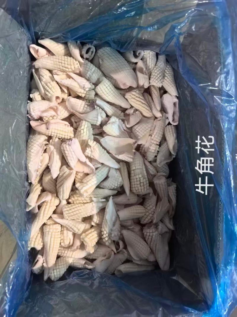 批发商联系我