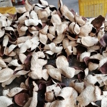 陈皮