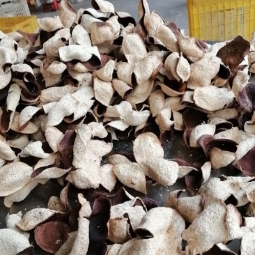 陈皮