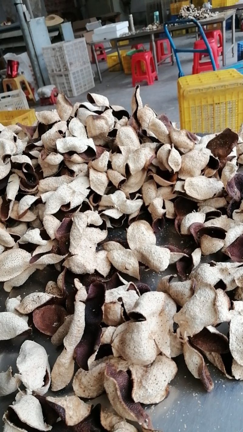 陈皮