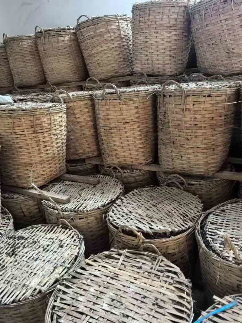 一级陈香，参香槟榔香六堡茶