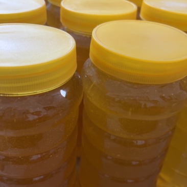 农家自产土蜂蜜，每次可割100余斤，有没有蜂蜜收购商，