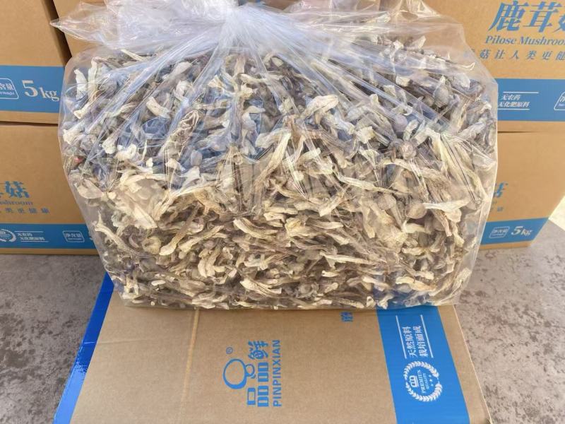 云南菌子王国高山鹿茸菇干货