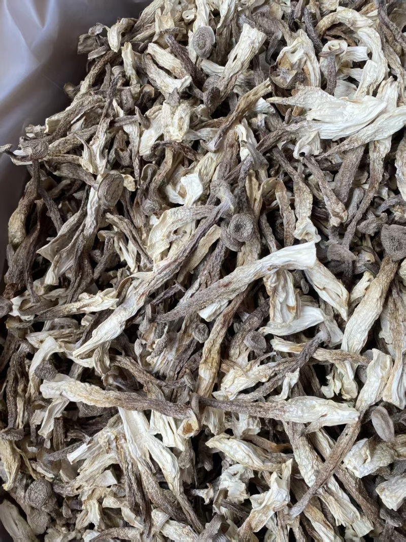云南菌子王国高山鹿茸菇干货