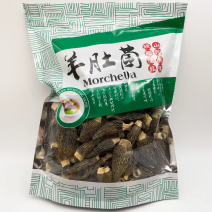 羊肚菌