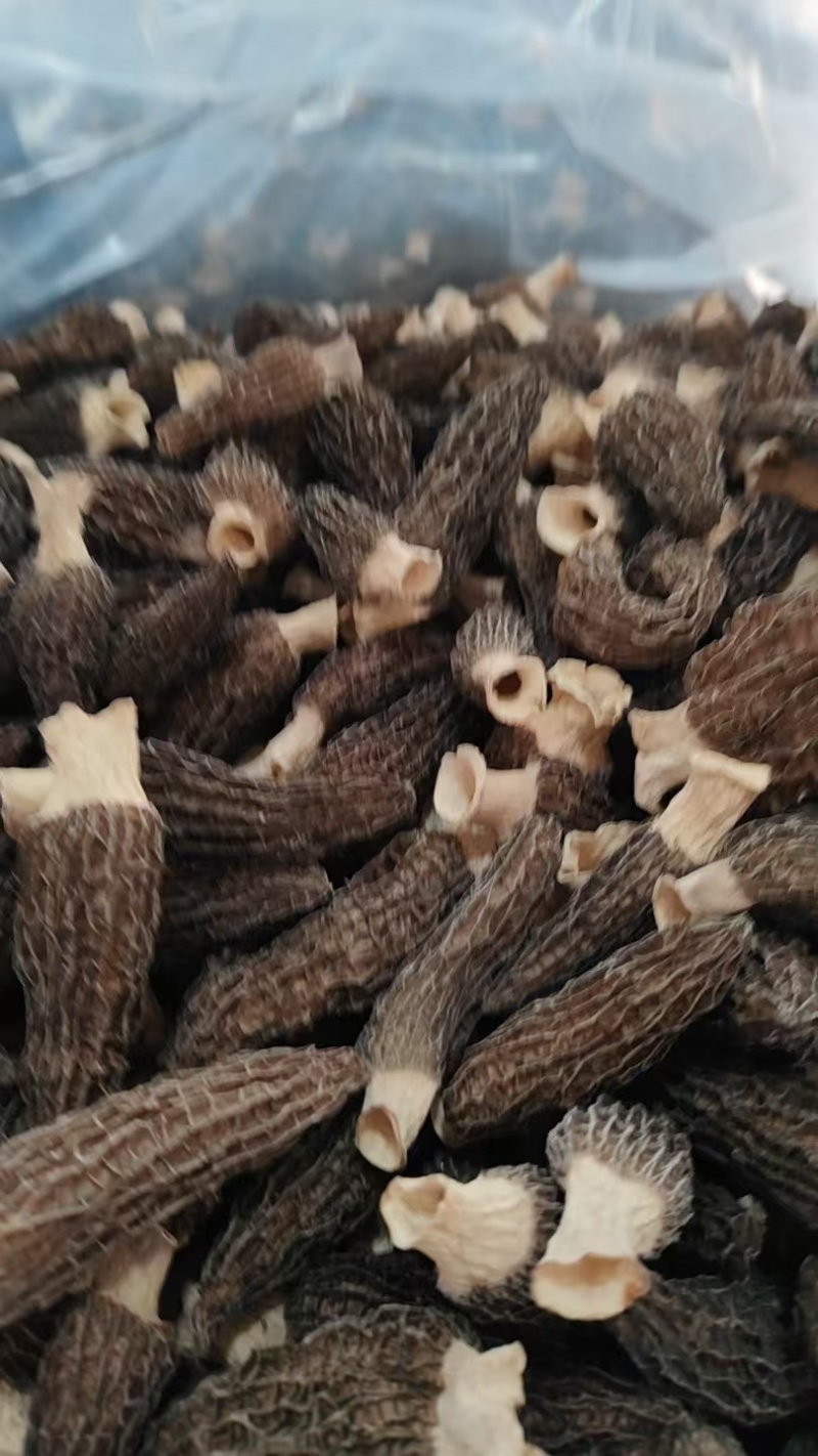 羊肚菌，干货