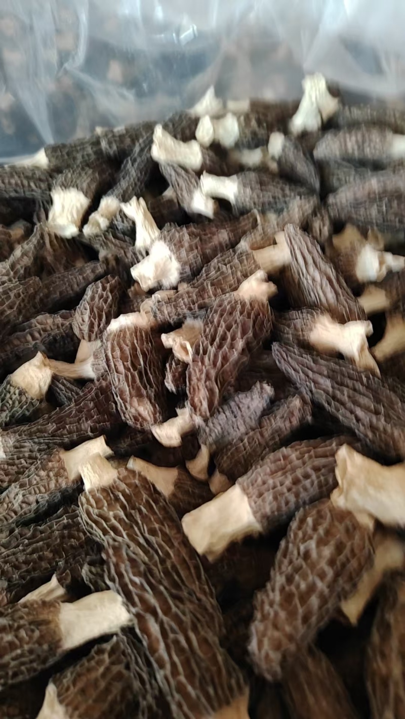 羊肚菌，干货