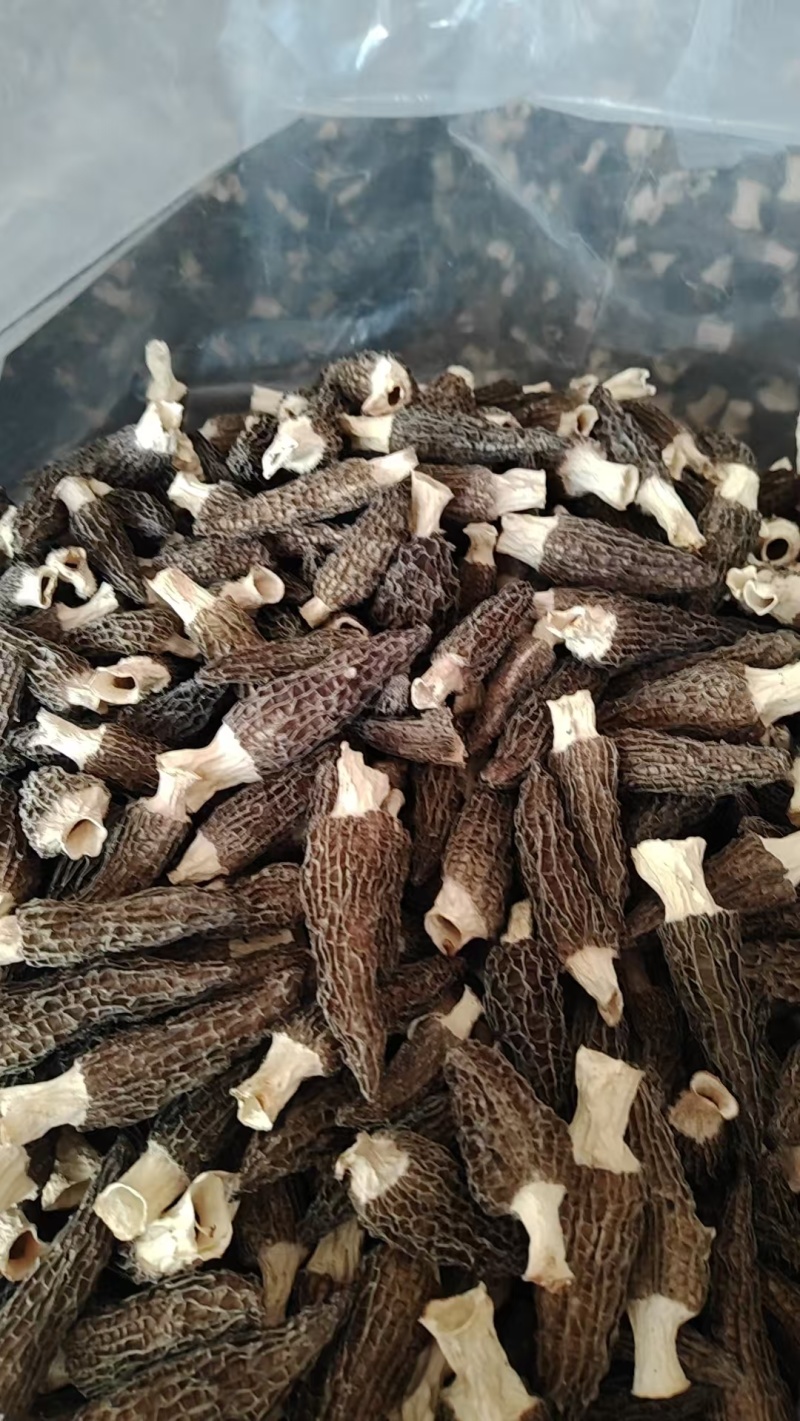 羊肚菌，干货
