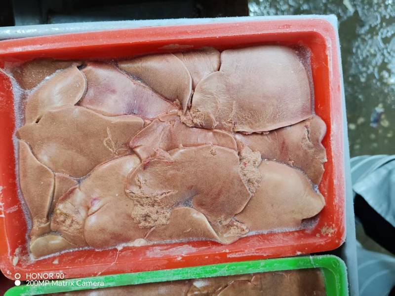 去油去苦胆鸭肝