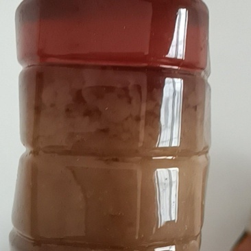 蜂蜜