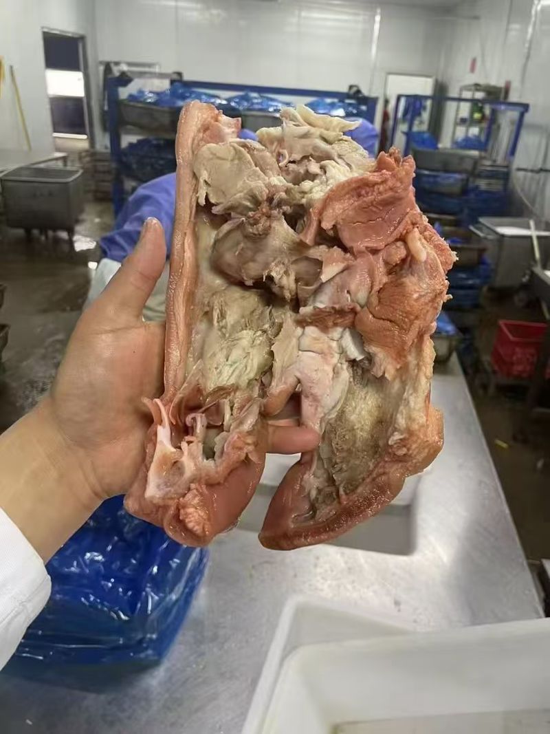 去骨熟猪头肉