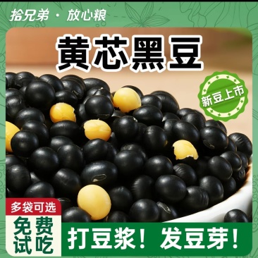 绿仁黑豆黄仁黑豆扁黑豆