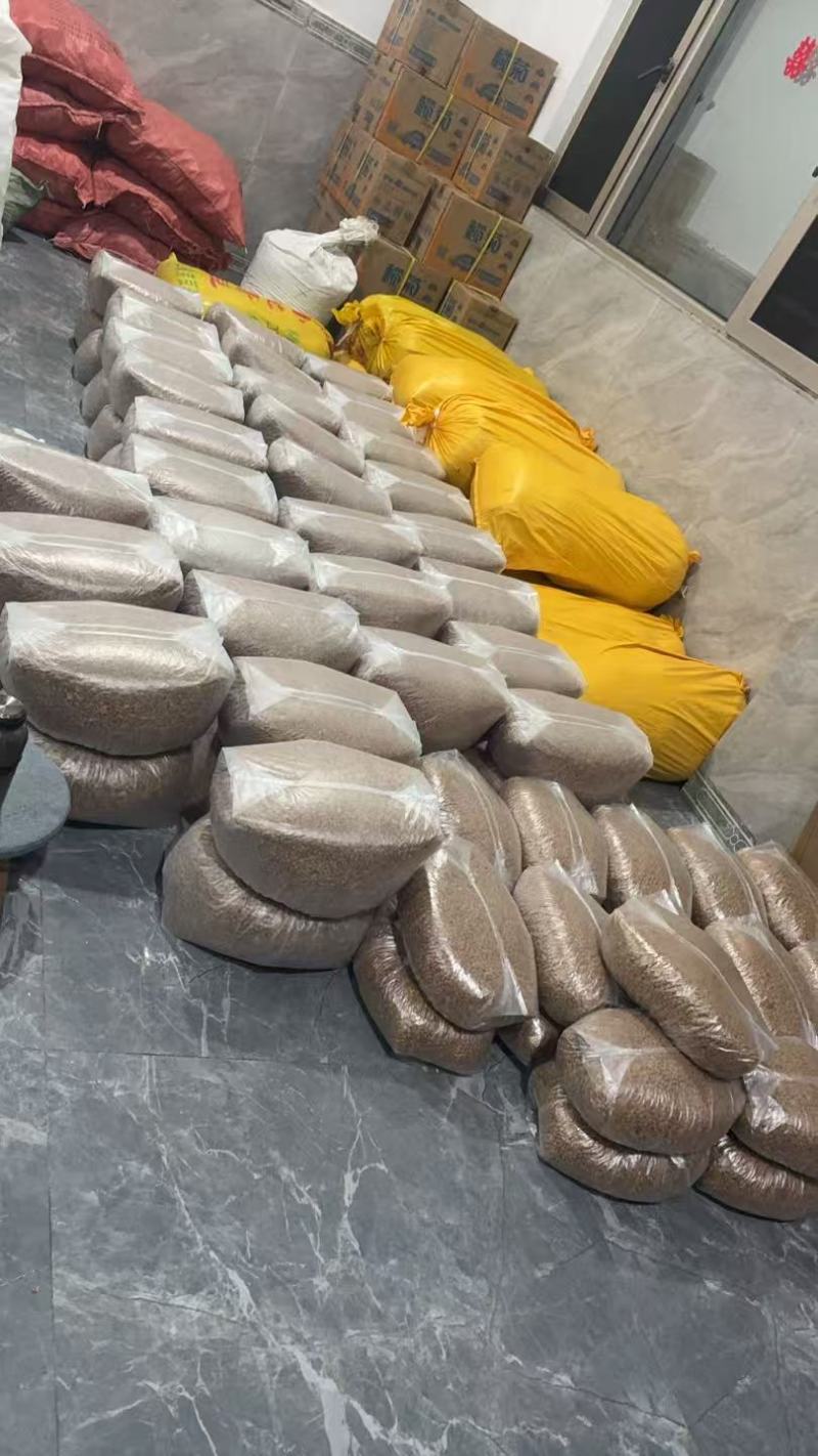 贵州特产贞丰豆豉
