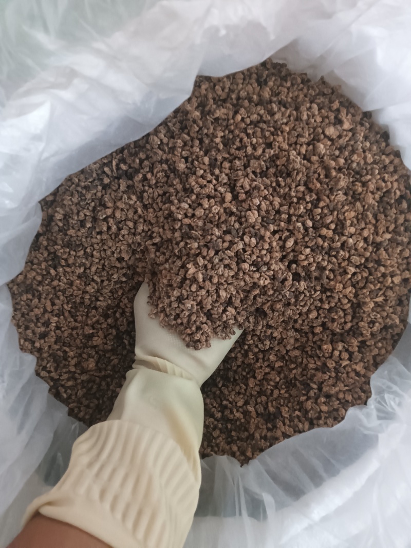 贵州特产贞丰豆豉