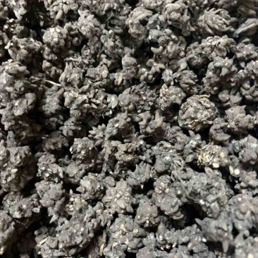 黑皮猫爪草大小规格都有