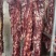鲜吊龙，冻吊龙
