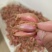 本地（广东河源）客家红葱头#好物共享#美食#现有大量红