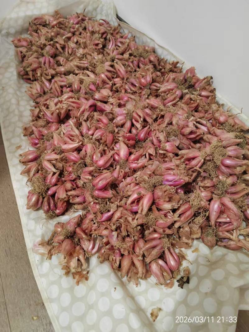 本地（广东河源）客家红葱头#好物共享#美食#现有大量红