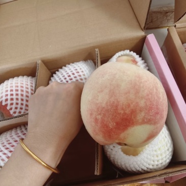 6元为8月佛桃参考价，6月早桃3元起。现接受预订，6月上