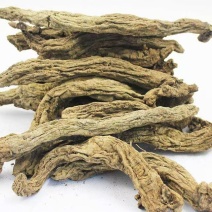 湖北恩施玄参