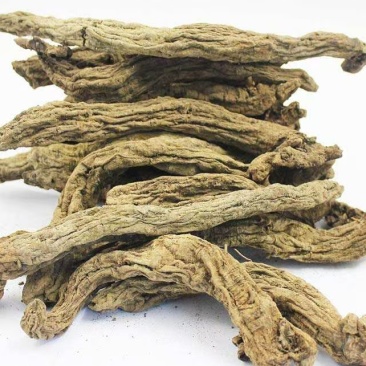 湖北恩施玄参