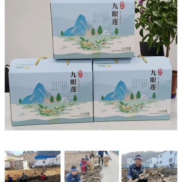 纯藕粉
