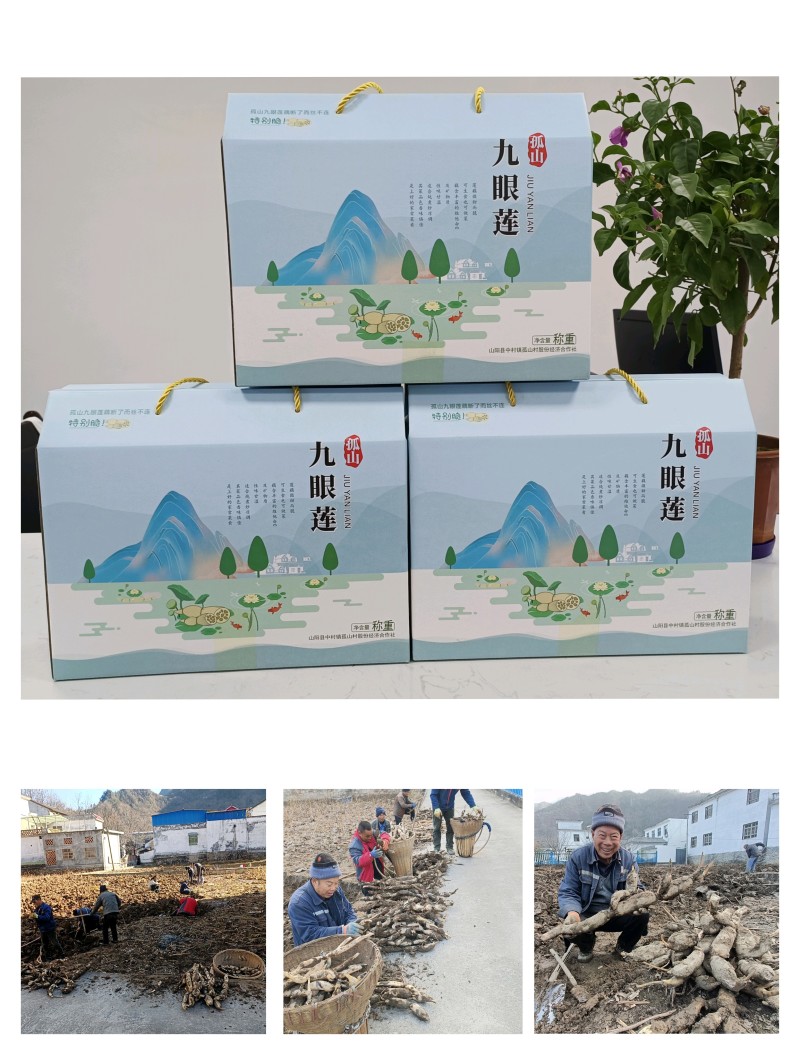 纯藕粉