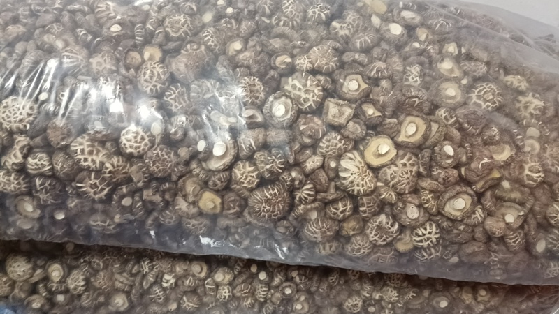 随州香菇（农户直供优质高档品质）