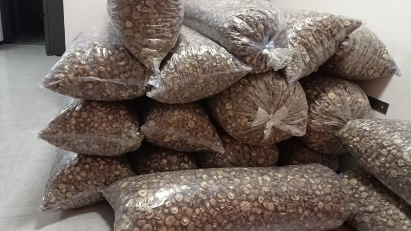 随州香菇（农户直供优质高档品质）