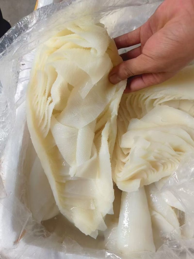 牛百叶