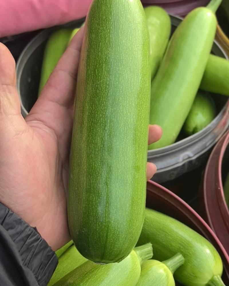西葫芦