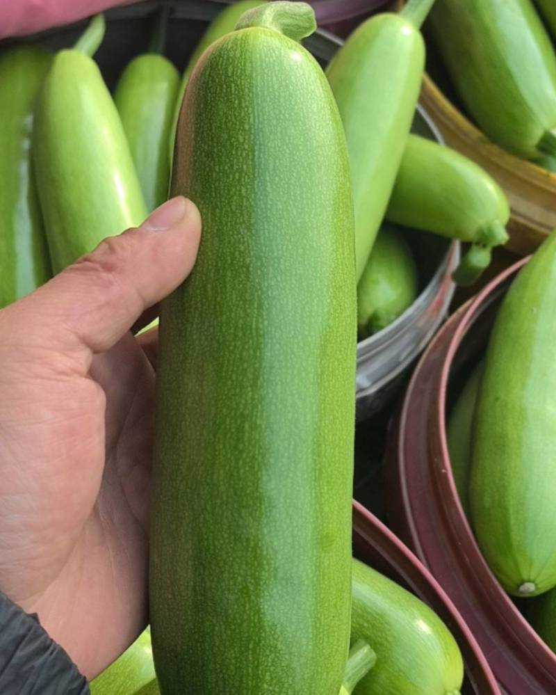 西葫芦