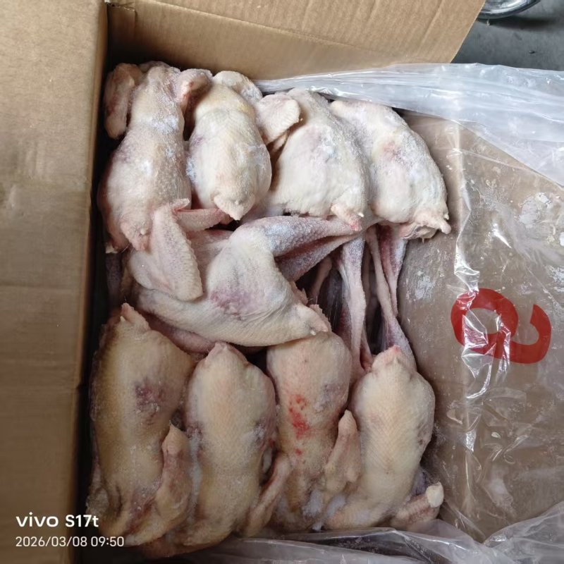 一级老母鸡8-9-10只海澜灰全净膛去双管
