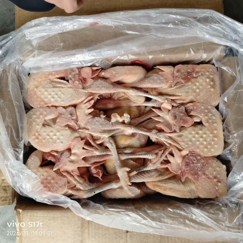 一级老母鸡8-9-10只海澜灰全净膛去双管