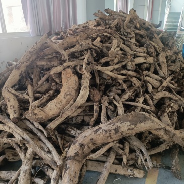 野生葛根粉