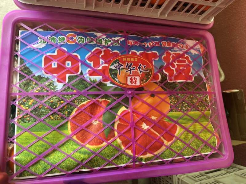 果冻橙，中华红橙