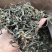 大雪山古树茶