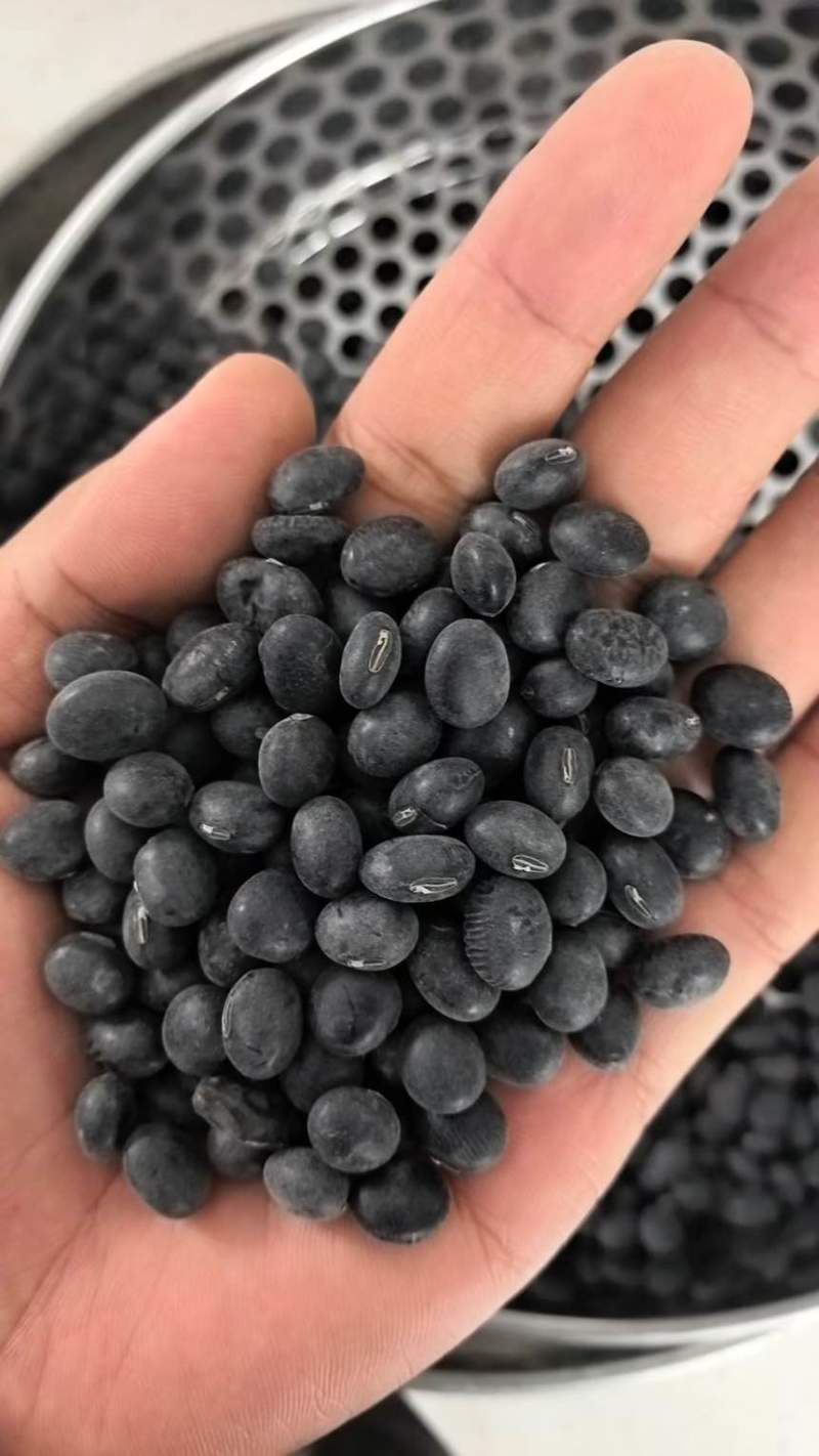 黑豆熟黑豆青仁黄仁青芯大粒中粒小粒规格齐全