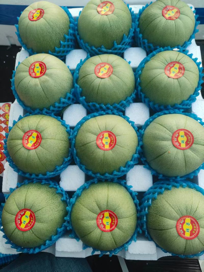 香瓜，品种齐全，大量现货！