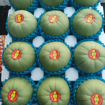 香瓜，产地直发！品种齐全