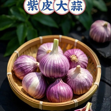通货大蒜，新产