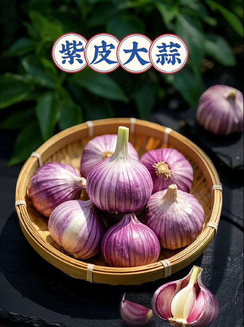 通货大蒜，新产