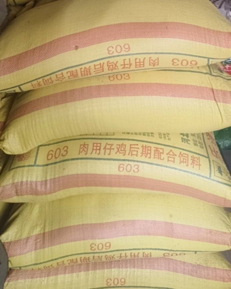 诚心出售张杂13新谷子，6万斤起卖